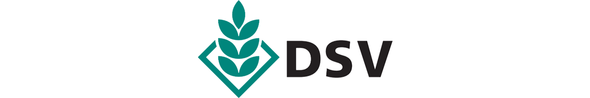 Logo DSV