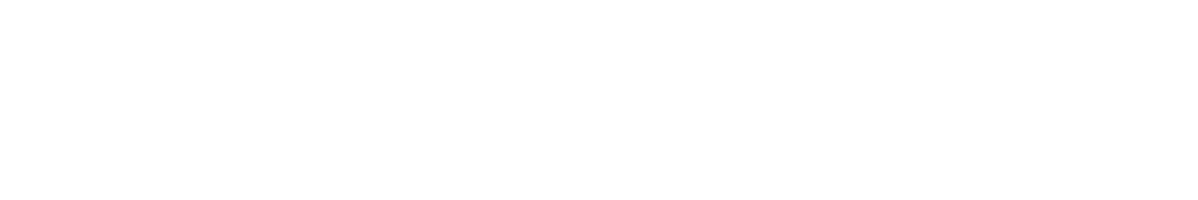 Logo van der Pol pallets en kisten